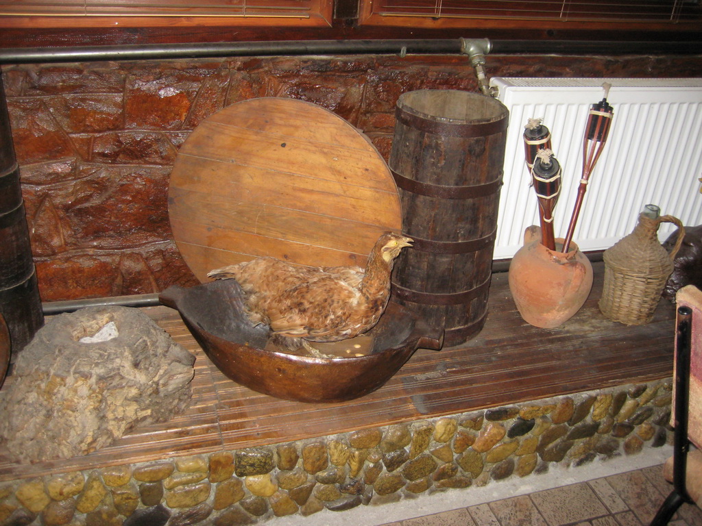 Starcevo 2011_06